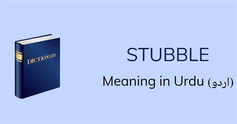 stubble meaning in urdu